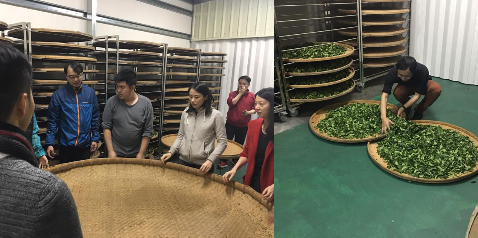 木+木 茶文化遊學團 由中午做茶到通宵
